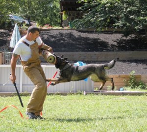 Jane ze Zdenkovo Dvora