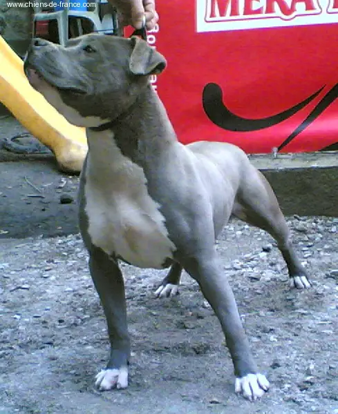 Vondeen du Royaume des Gladiateurs