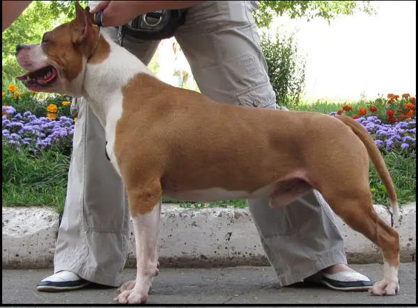 Harrikein By Name Brut