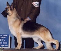 Aladdin's Divine Dancer Helmic