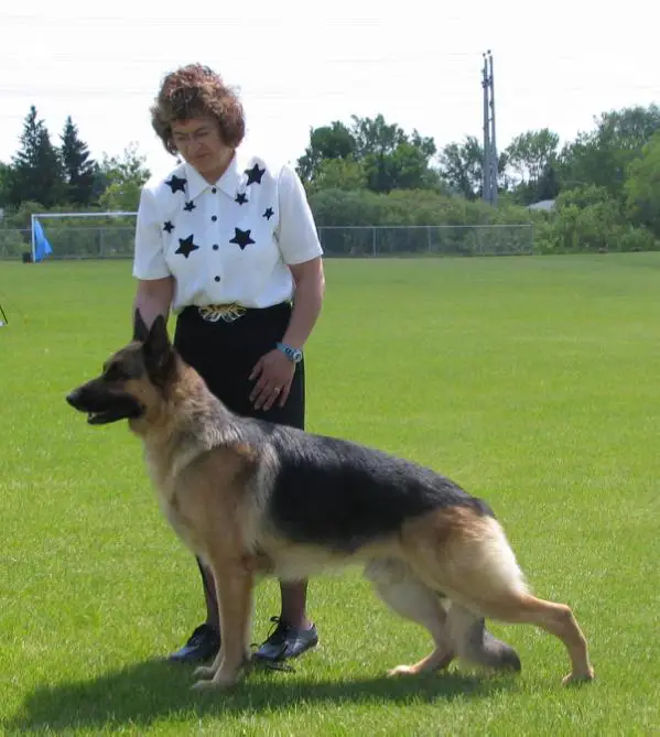 Penhall's Bridge of Gold