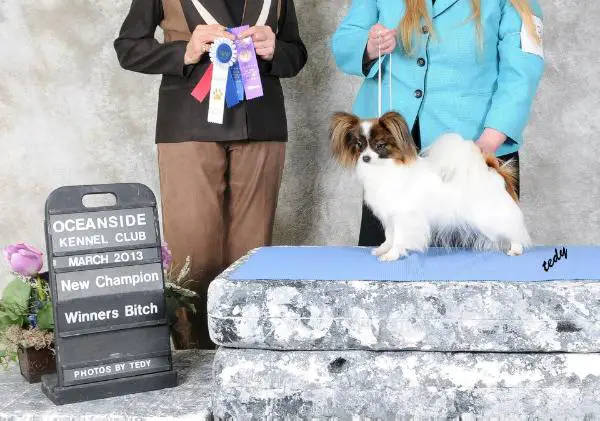 Pinnacle's Saffron Rouge