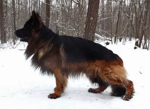 V Maynard vom Aleks Birkenstrasse