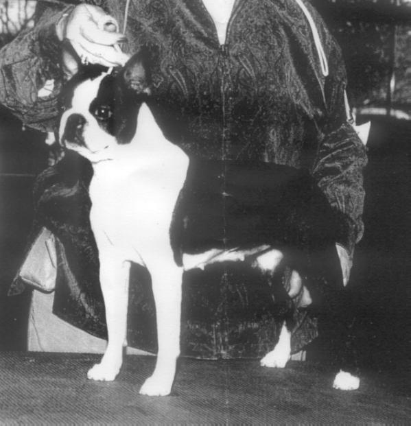 CH Pequoag J's Mason Dixie