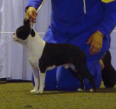 Kennedy'S knoty solo act