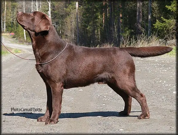 NORDJV Destiny's Tellmenothingidon'tknow