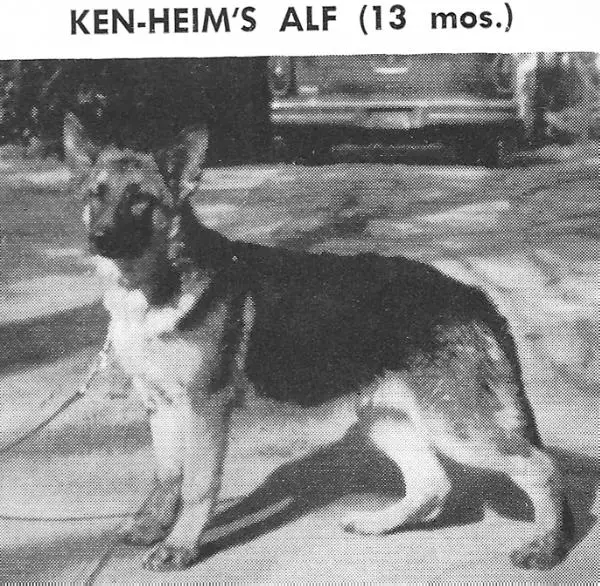 Ken-Heim's Alf