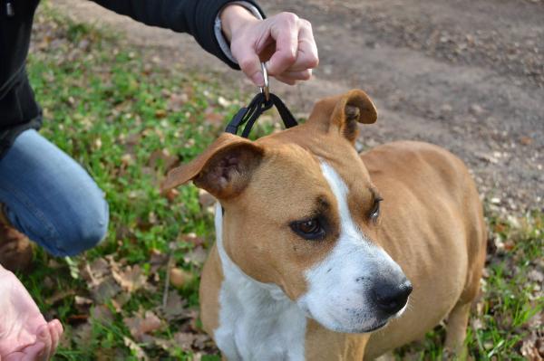 Caskada de la Griffe du Dragon