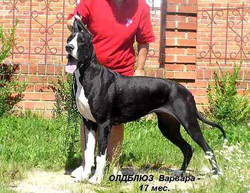 GRCH OF RUSSIA Oldbluz Varvara