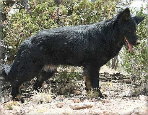 Carly von Jagermeister Haus