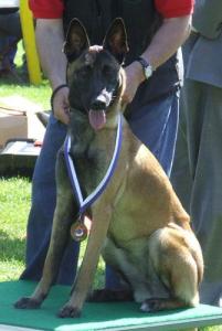 Brexton SK Sion