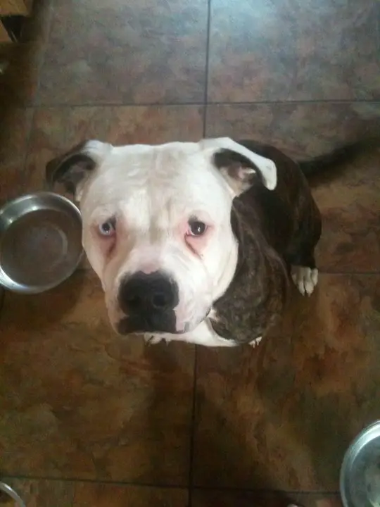 LNG's Luke's Esmee Rain