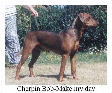 Cherpin BOB MAKE MY DAY