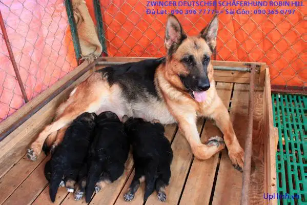 V Quenta von der Unstrutquelle