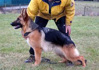 Volga de la Vallee des Corbeaux