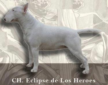 CH- Eclipse de los Héroes