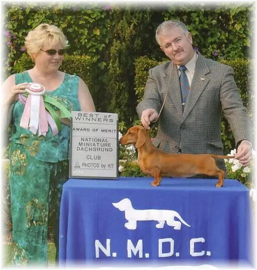 Grandgables Ms Some Bunny Else