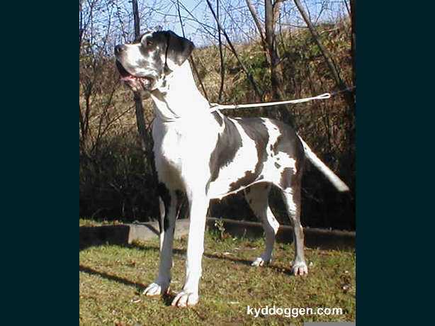 Sensacja des Terres de la Rairie