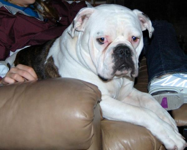 Great Lakes Lil' Bit