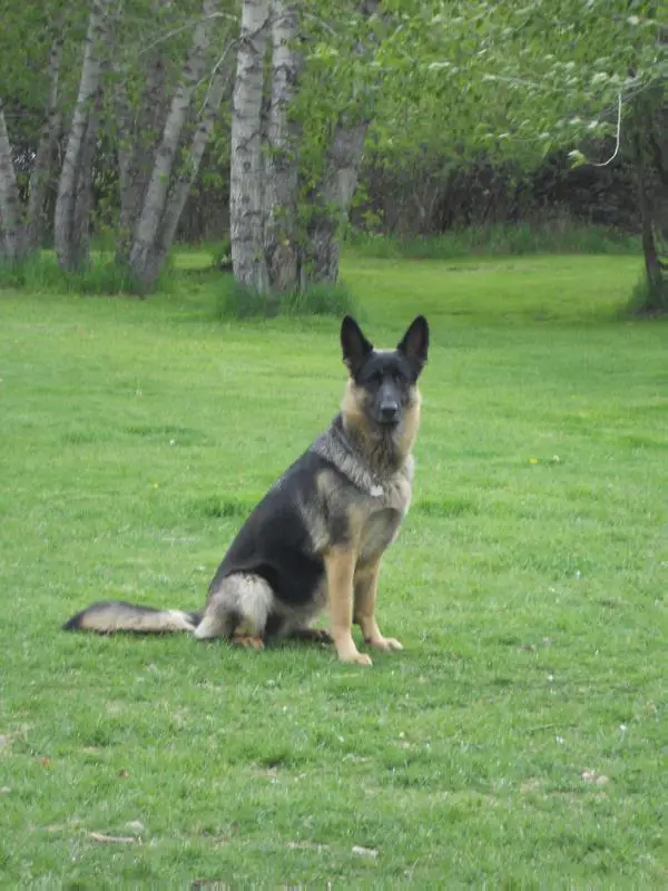 Covy Tucker Hill's Mystic Aura