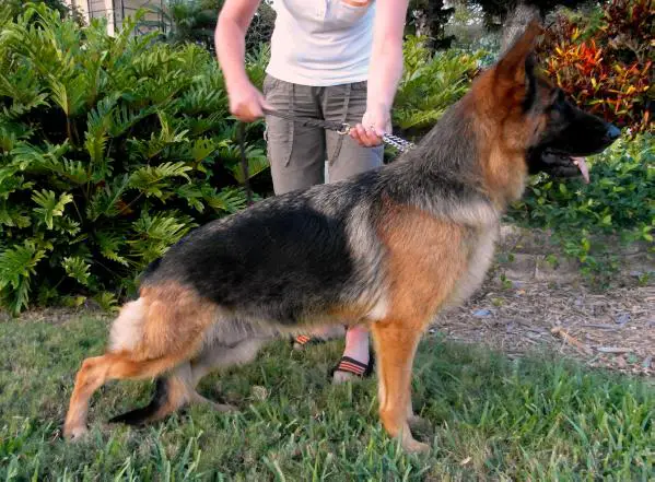 Mary von der Fangschleuse