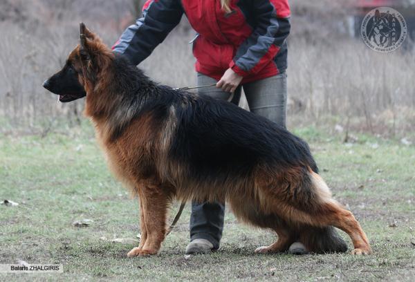 JCH RU Balaris Zhalgiris