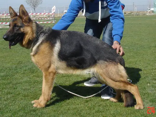Ketty von atlas