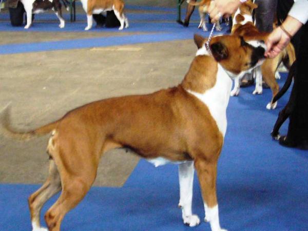 Just A Little Bit Dangerous of Eclipse