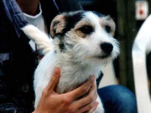 Ratpack Demon Heartbreaker