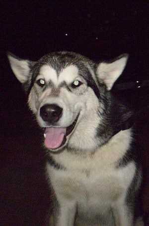 Leyu Yahtay Krasavitsa