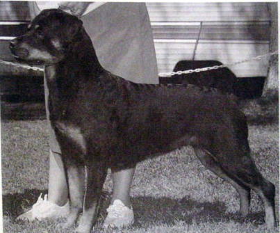 Vom Sonnenhaus Tanja von Vera