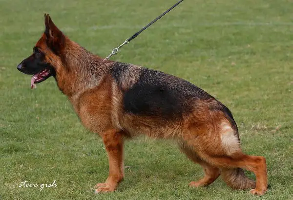 VA4 FRA 2014 Gicy du Val d'Anzin