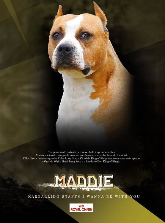 Karballido staffs i wanna be with you