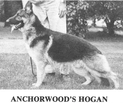 Anchorwood Hogan