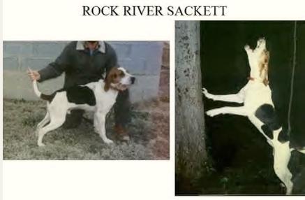 GRNITECH PR Rock River Sackett
