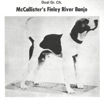 DUAL GRAND CHAMP McCallister's Finley River Banjo