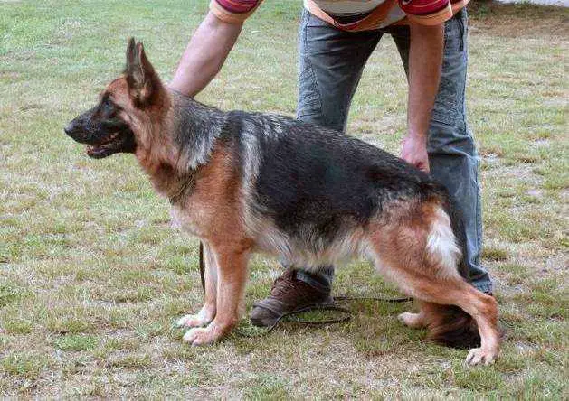 Gitti in Regnum Marianum