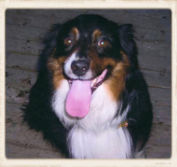 Neely Rch Kobi Kline