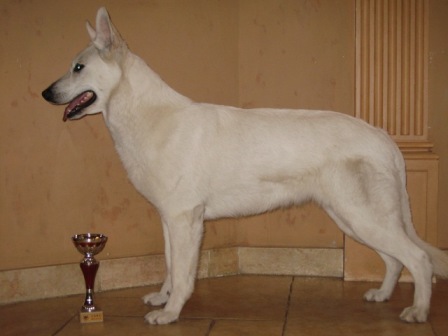 CH BLR,UKR Cannah Bis du Royaume de la Louve Blanche