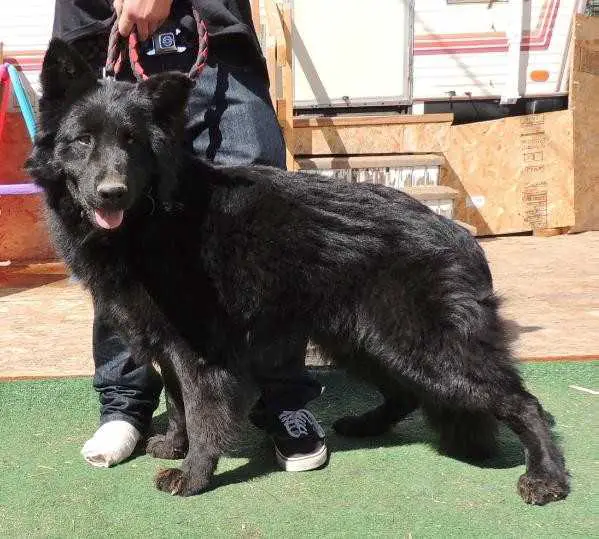 Asko von Felsschlucht Bach "Yerri"