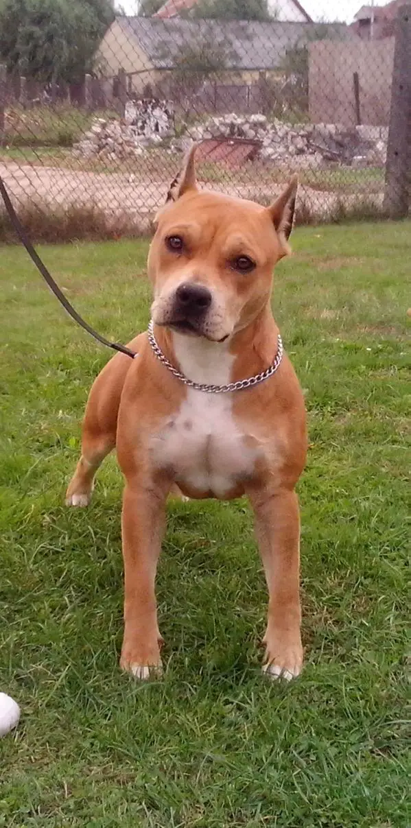 Flaming Mirage Maria Hill