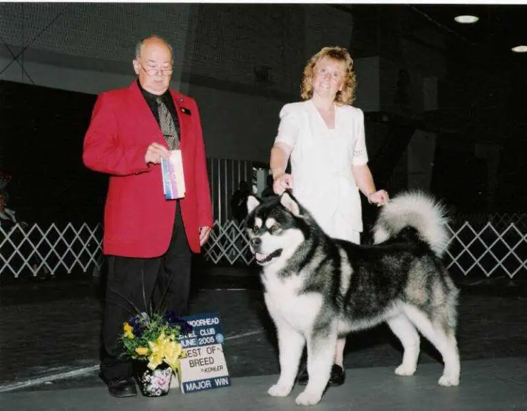 Am/Can.Ch. Catera's Man Behind The Mask