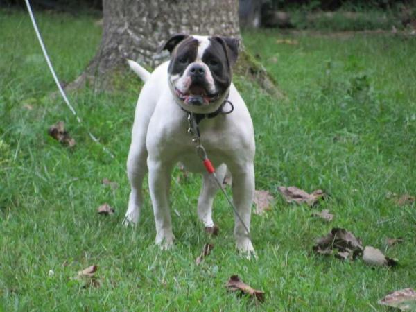 Power Plant's Layla Ali