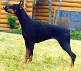 Rubina von Brandenburg