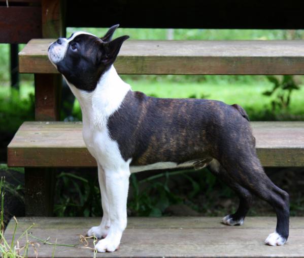 Skin-Deep's Easter Man