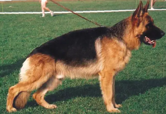 V1 Austria BSZS 1998 Aranyvölgyi-Örseg Brass