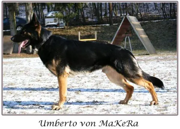 Umberto von MaKeRa