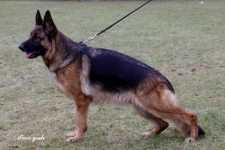 V Urania vom Messebau