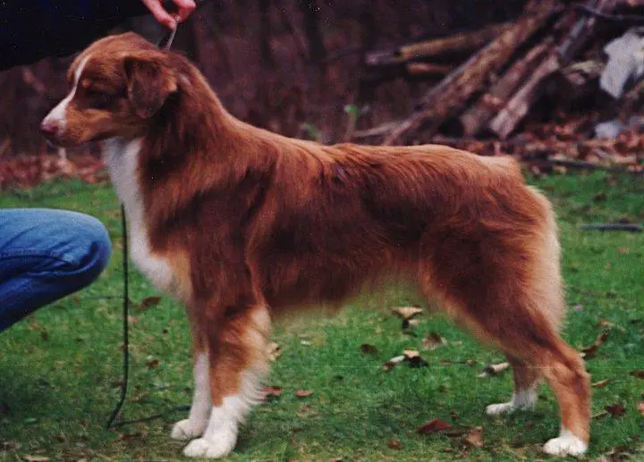 Ch Paradox Propwash Portrait