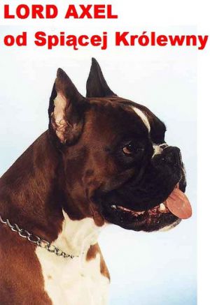 Lord Axel Od Spiacej Krolewny